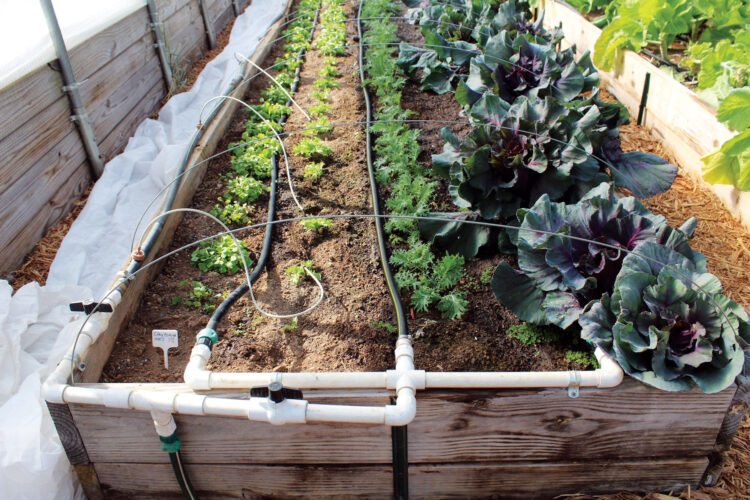 Homemade Drip Irrigation System Image